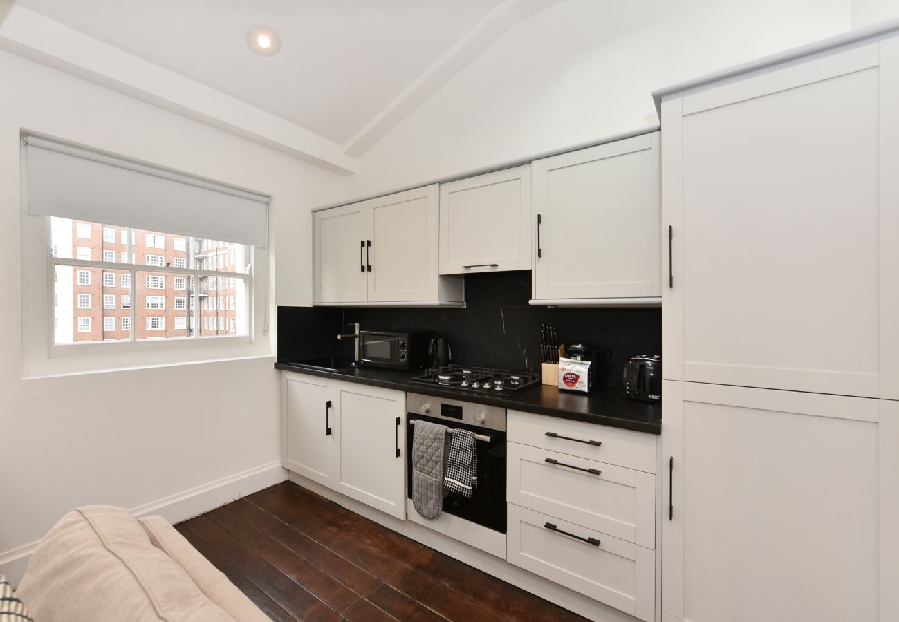Apartment in London - Oxford Street Marble Arch Style - 55KS